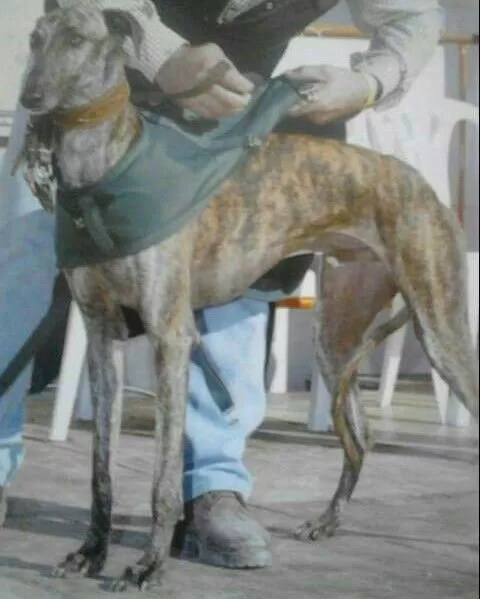 Bartolo de los Sánchez
