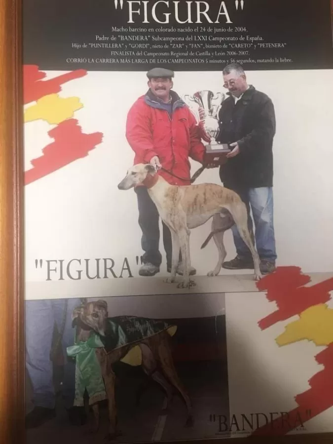 Figura el Maestro