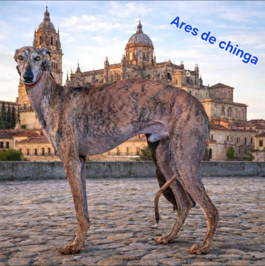 ARES DE CHINGA